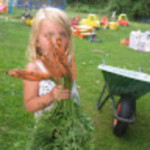 Meet your Posher, Donna